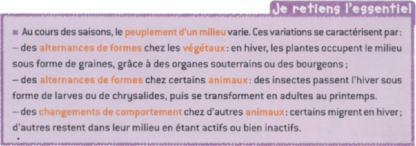 bilan