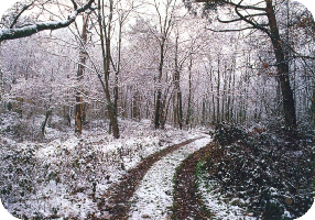 hivers
