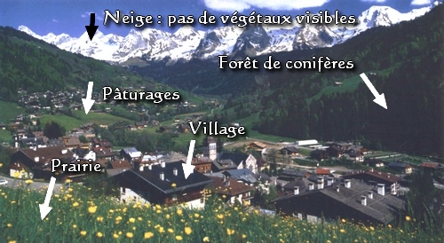 vallee